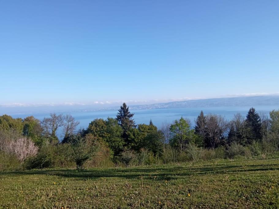 Lugrin Proche Du Lac Et Montagne Luaran gambar